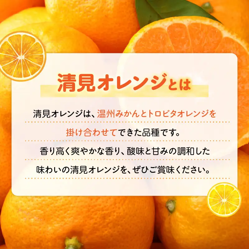 【2027年先行予約】和歌山県有田産 完熟 清見オレンジ 5kg ひとつひとつ丁寧に厳選！生産者から直送【清見 みかん オレンジ タンゴール きよみ 柑橘 和歌山 有田】_ZN6001n