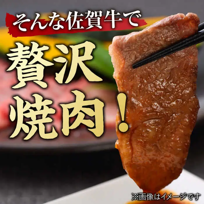 佐賀牛 焼肉用 500g やきにく ブランド牛[FDB008]