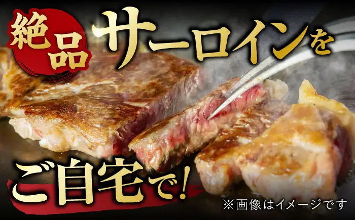 佐賀牛 サーロインステーキ 500g 黒毛和牛ステーキ[FDB010]