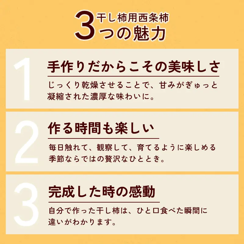 A-863 干し柿用西条柿(渋柿) 20個