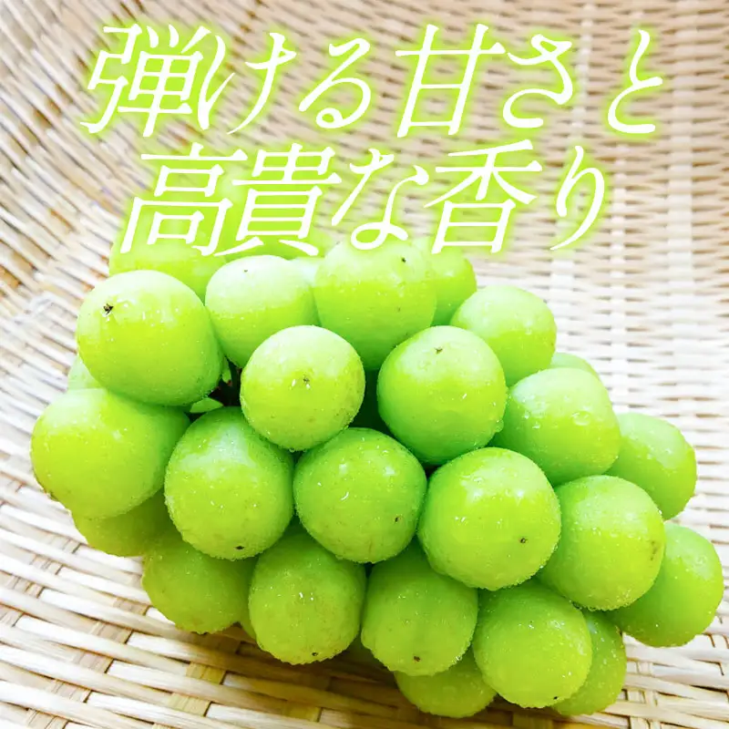C-699 待ちきれないシャインマスカット 2房