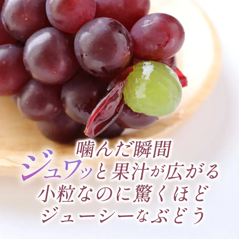 A-774 朝採れ種なしぶどうデラウェア 1kg