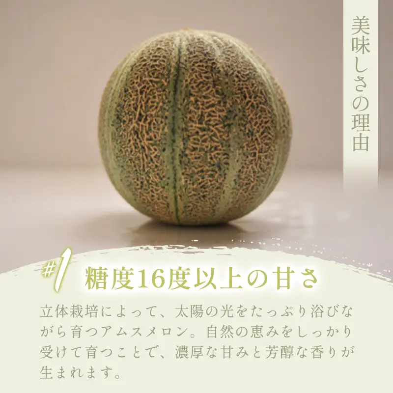 C-191 糖度厳選プレミアム アムスメロン 4玉～5玉