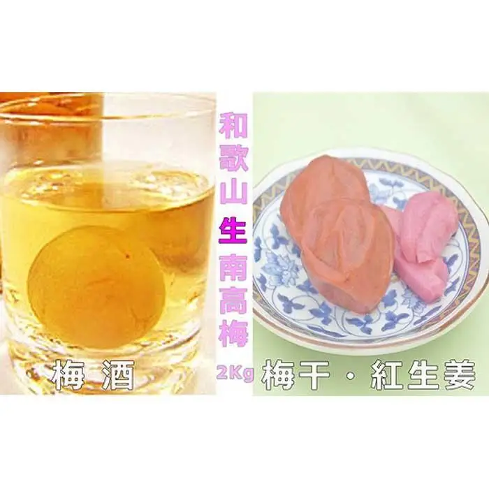 ［梅干・梅酒用］（LまたはM－2Kg）熟南高梅＜2027年6月上旬～7月中旬発送予定＞フルーツ 果物 くだもの 食品 人気 おすすめ 送料無料［ART07］