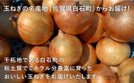 白石玉ねぎ 10kg / 玉ねぎ [IAW009]