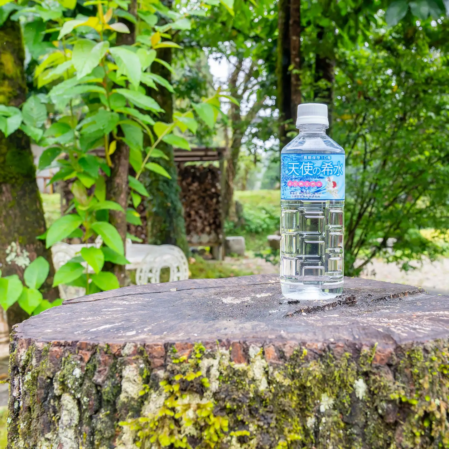 『天使の希水』500ml×24本入り（計12L）：B170-003
