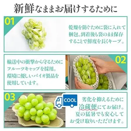 【2026年発送 】シャインマスカット 2房 (約1kg) 山梨県産フルーツ 人気のぶどう【配送不可地域：離島・沖縄県】【1017347】