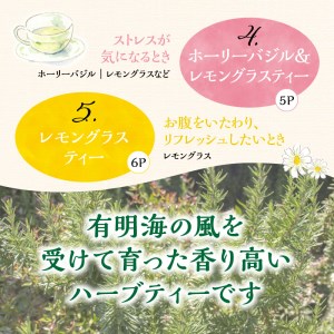 熊本県産農薬不使用ハーブティー ５種セット _U42-0015