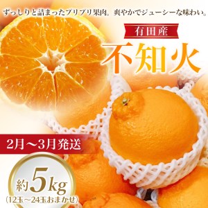 【全3回】フルーツ定期便 季節の美味しさ詰合せ！/フルーツ 果物 カラマンダリン 不知火 キウイ 柑橘 旬 定期便【tkb151】