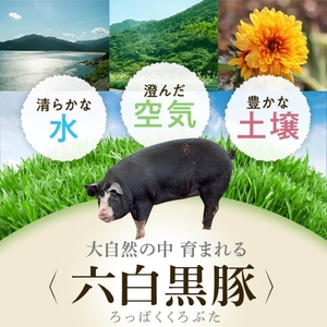 【A02046】黒豚餃子セット(12個入×10パック) 鹿児島 国産 九州産 黒豚 黒ぶた 豚肉 冷凍 餃子 ギョーザ ぎょうざ おかず 惣菜【和田養豚】