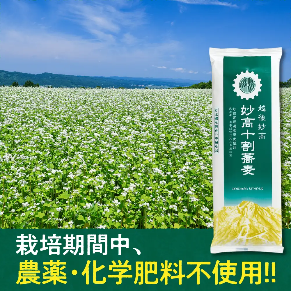 妙高 十割 蕎麦 そば 十割そば 乾麺 200g × 5袋 