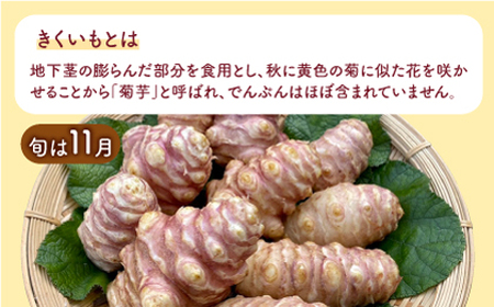 築上町 特産品 きくいも 使用「おためし6種類セット」 [ABBZ002]