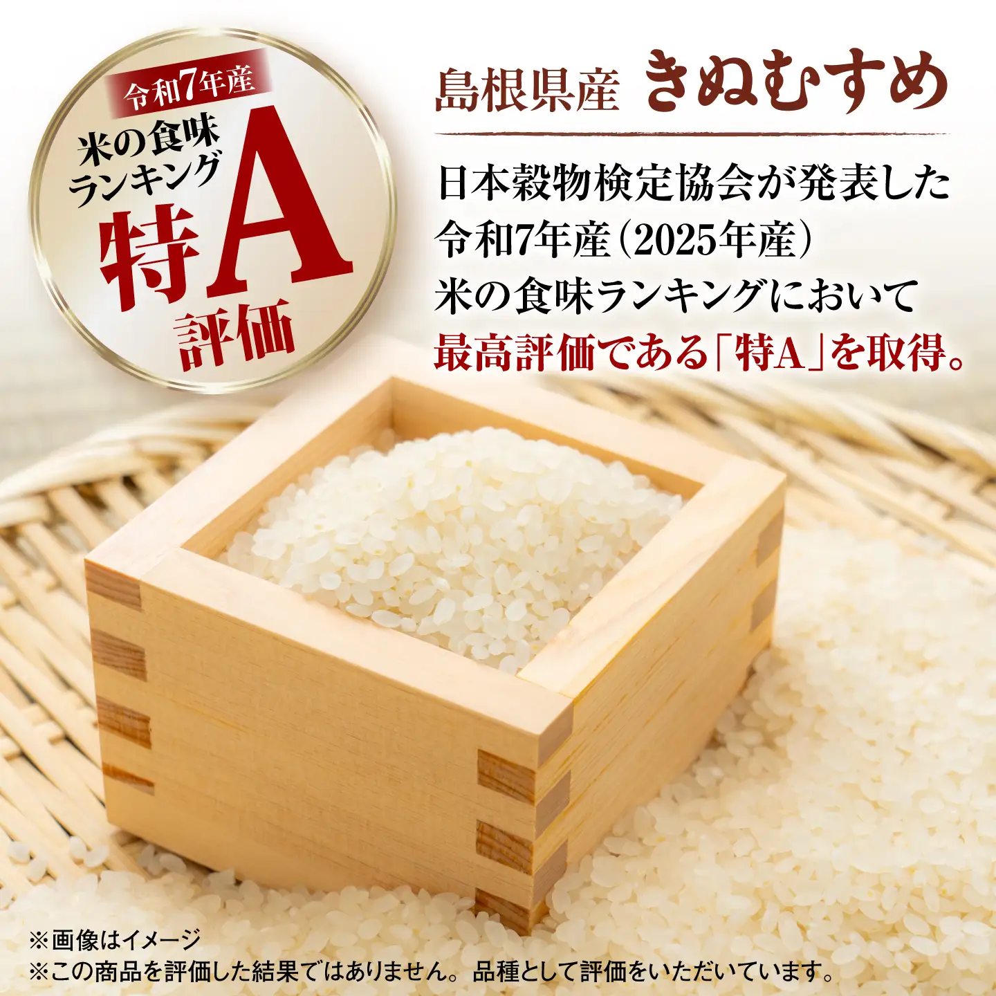 新米 【6回定期便】 島根県産きぬむすめ 5kg 新米[ALBW008]