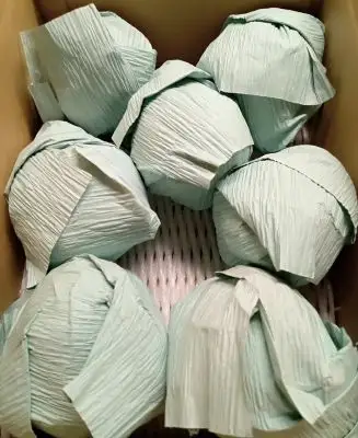 西洋梨（シルバーベル）３.５ｋｇ　ご家庭用　0142-2617