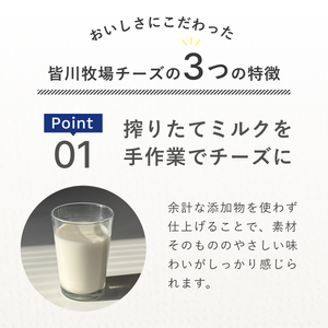 チーズ 皆川牧場 詰め合わせ 4種 セット 食べ比べ 人気 話題 冷蔵 モッツァレラチーズ リコッタ カチョッタ スカモルツァ ナチュラルチーズ 熟成 手作り 生乳 牧場直送 ご当地 ギフト 贈答 ミルク おつまみ デザート パスタ ピザ 前菜 おつまみ 乳製品 船橋市 千葉県