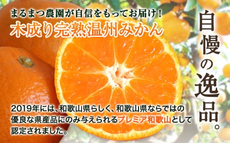 木成り完熟 温州みかん 10kg みかん