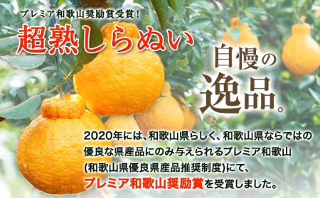 超完熟しらぬい 2kg 不知火 しらぬい