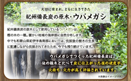 紀州備長炭 馬目小丸 約15kg 　炭