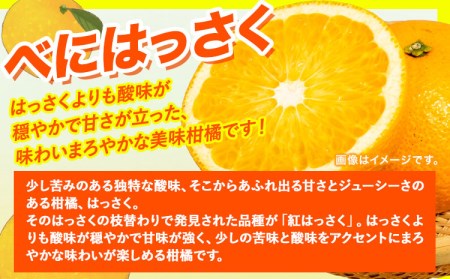 【ふるさと納税】【先行受付】樹上完熟 紅はっさく 約10kg S～2L 家庭用 サイズ混合