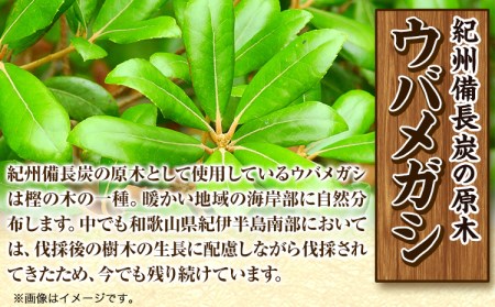 紀州 備長炭 訳あり 約4kg (30日以内に出荷予定)