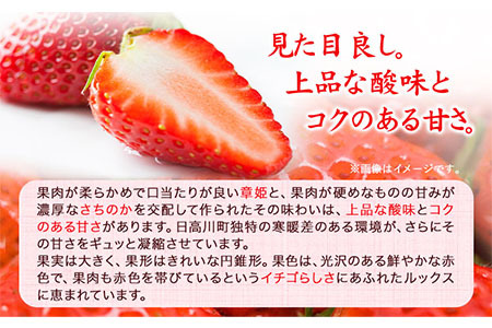 いちご 毬姫様 イチゴ まりひめさま 約450g みはらファーム