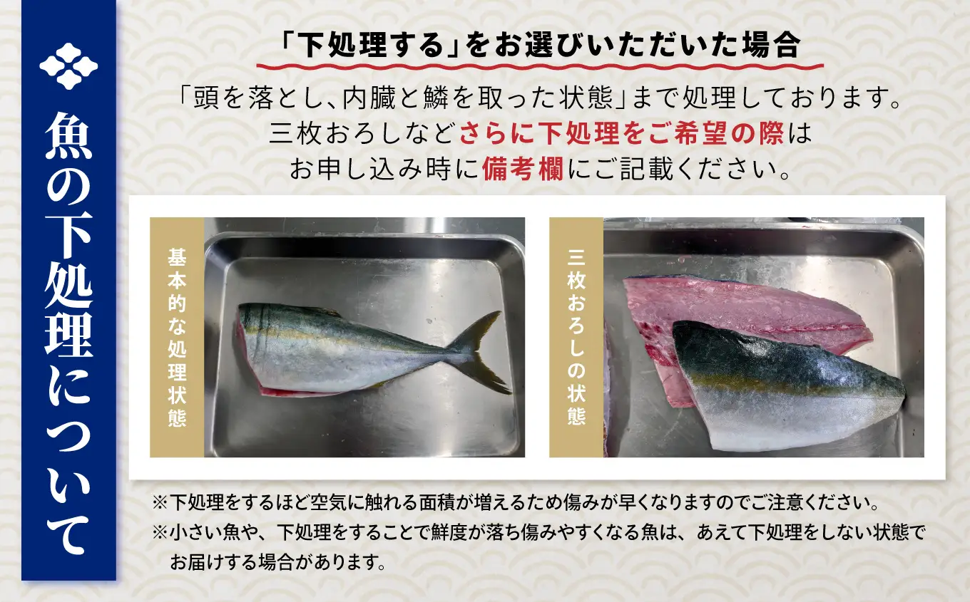 鮮魚セット(1～2人用) 下処理済み 朝獲れ直送 三陸 旬 冷蔵 刺身 海藻 貝 鮮魚 お魚