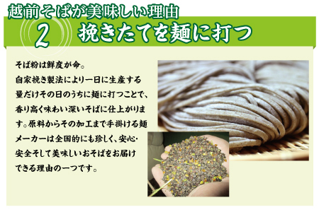 【定期便３回】創業90余年の武生製麺　三代目自慢の「越前そば20食」