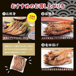 猛者海老 15匹×3パックセット【山根商店】