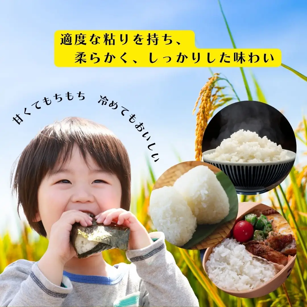佐渡発酵 佐渡産コシヒカリ精米5kg 【令和7年米】