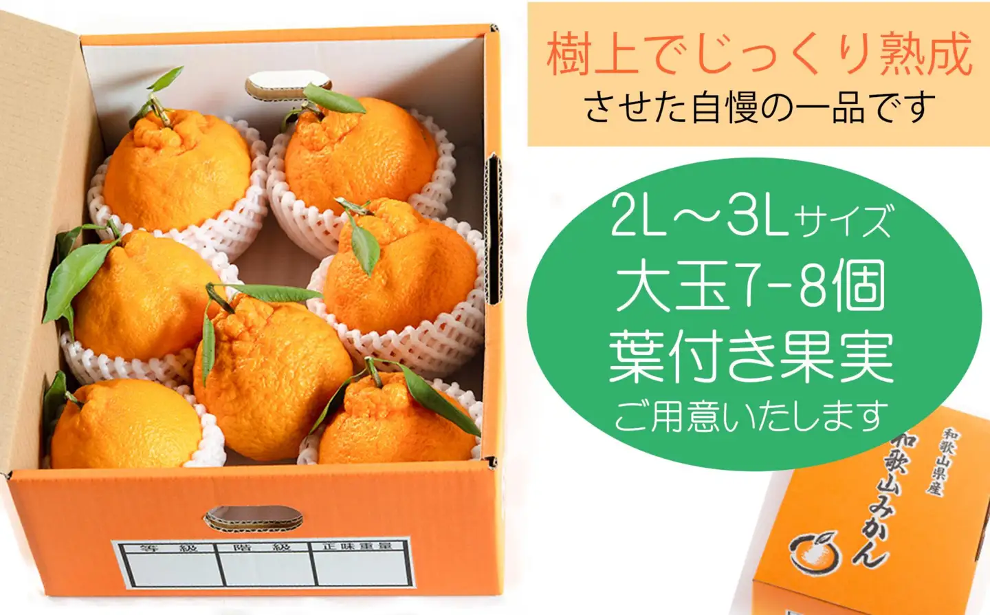 【R9年出荷分】鈴木農園の不知火２ｋｇ（２L又は３L）　和歌山県から農家直送！デコポン　しらぬい　オレンジ　皮がむきやすい【北海道・沖縄・一部離島への配送不可】