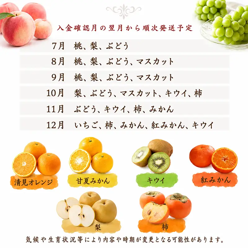 フルーツ定期便 2回  旬のフルーツ 果物定期便