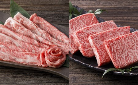 伊万里牛美味プレミアム 定期便  10回便 ヒレ ステーキ 焼肉 すき焼き しゃぶしゃぶ 999-J620