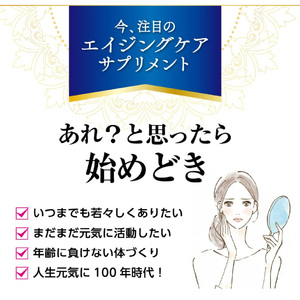 NMN 山本漢方製薬 βーNMN NMNサプリメント NMN60粒 [027Y10]