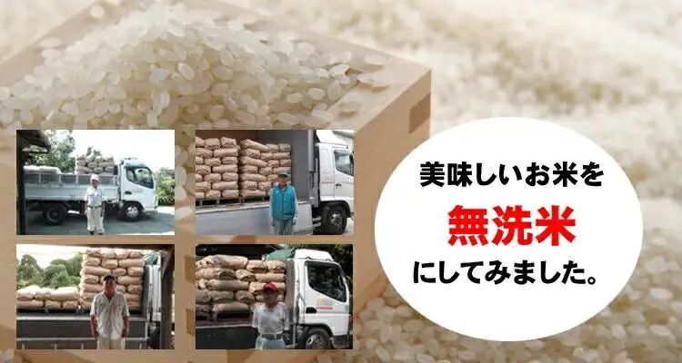 無洗米　川越でとれたお米　5kg ／ 白米 埼玉県 こしひかり 彩のきずな主体のブレンド米