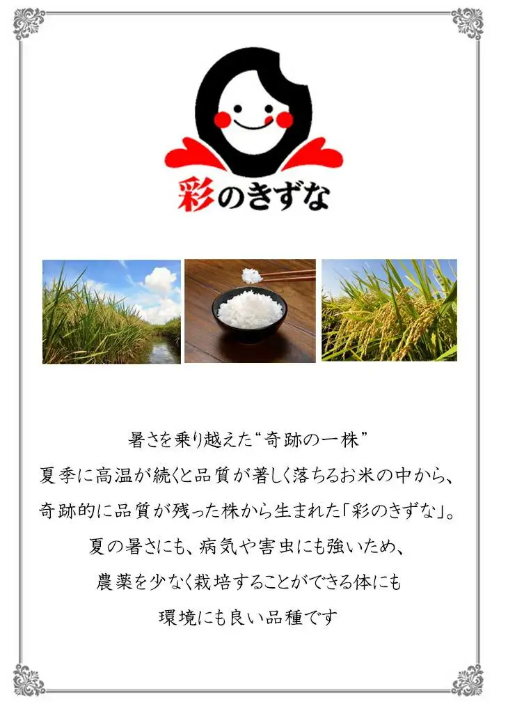 【彩のきずな】10kg ／ お米 白米 埼玉県
