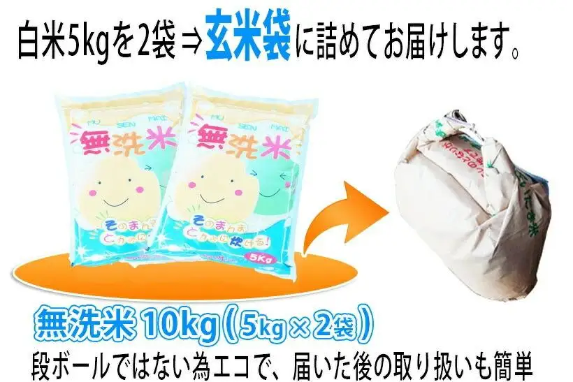 無洗米　川越でとれたお米　10kg ／ 白米 埼玉県 こしひかり 彩のきずな主体のブレンド米