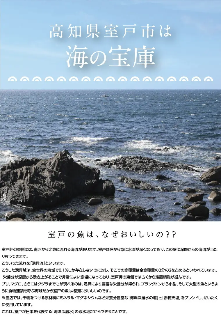 ナカイチ厳選！カツオたたきと干物セットB