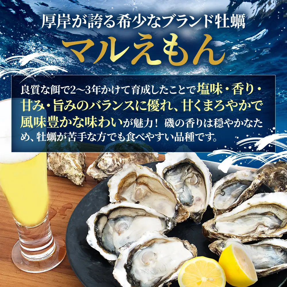生食用 殻付カキ LLサイズ 10個 マルえもん 生牡蠣 北海道 厚岸産 牡蠣