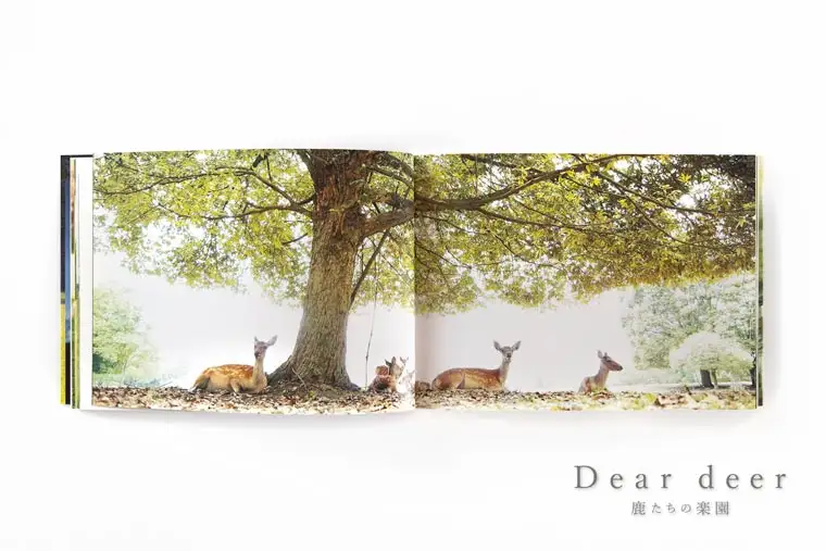 奈良の鹿 写真集「Dear deer 鹿たちの楽園」（KAZUTO PHOTO OFFICE 佐藤和斗） J-63