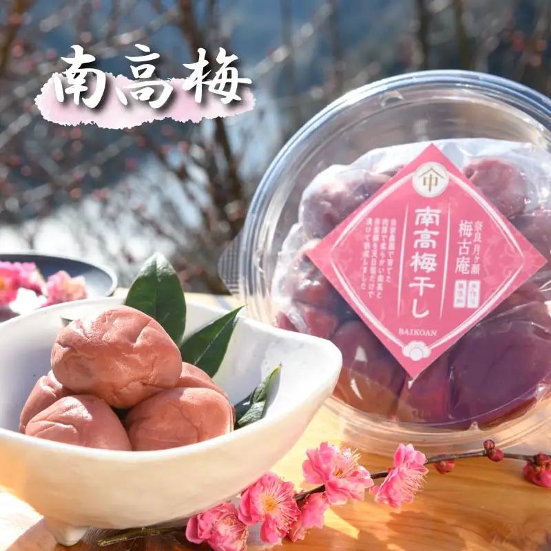 梅 梅干し 日本唯一！烏梅職人手づくり 七百年の伝統 本物梅づくし（竹）味比べ5点セット 無添加 25-038