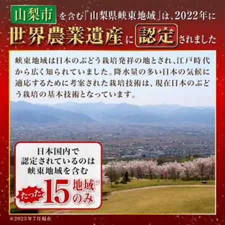 【2026年発送】農福連携 シャインマスカット2房(合計1kg程度)【配送不可地域：離島】【1271031】