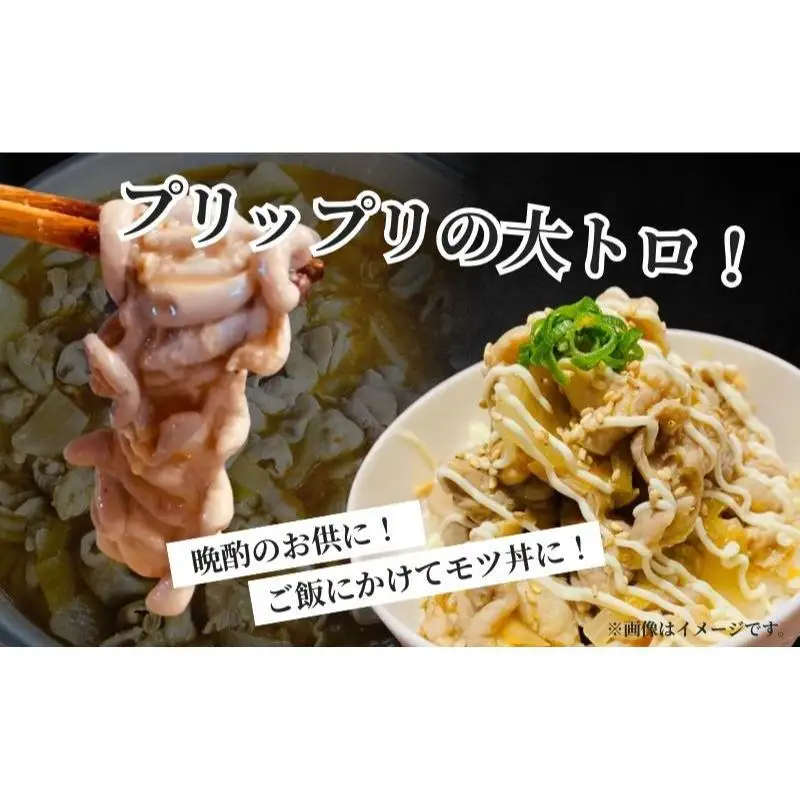 絶品ピリ辛モツ煮600g 200g×3パック 冷凍 おつまみ おかずの一品 ビールのお供 お取り寄せグルメ ラーメン屋 豚モツ 肴 加工品 惣菜 和食 