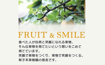 新高梨 大玉 約4kg | フルーツ 果物 くだもの 梨 なし ナシ 奈良県 五條市