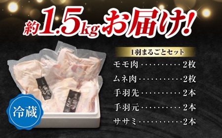 【朝びき！】信州黄金シャモ1羽まるごとセット　地鶏