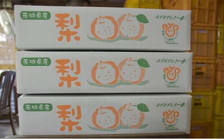 【訳アリ！先行予約】小林果樹園の梨 6～10玉 約3kg　※2026年9月～発送