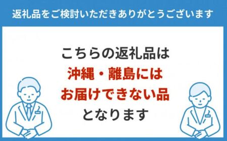 【先行予約】増田さんちのアールスメロン2玉 1.7kg以上×2玉 ※2026年9月～発送 | くだもの 果物 フルーツ デザート めろん 常総市