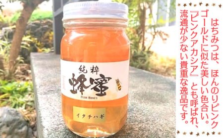 はちみつ 国産 イタチハギはちみつ 300ｇ