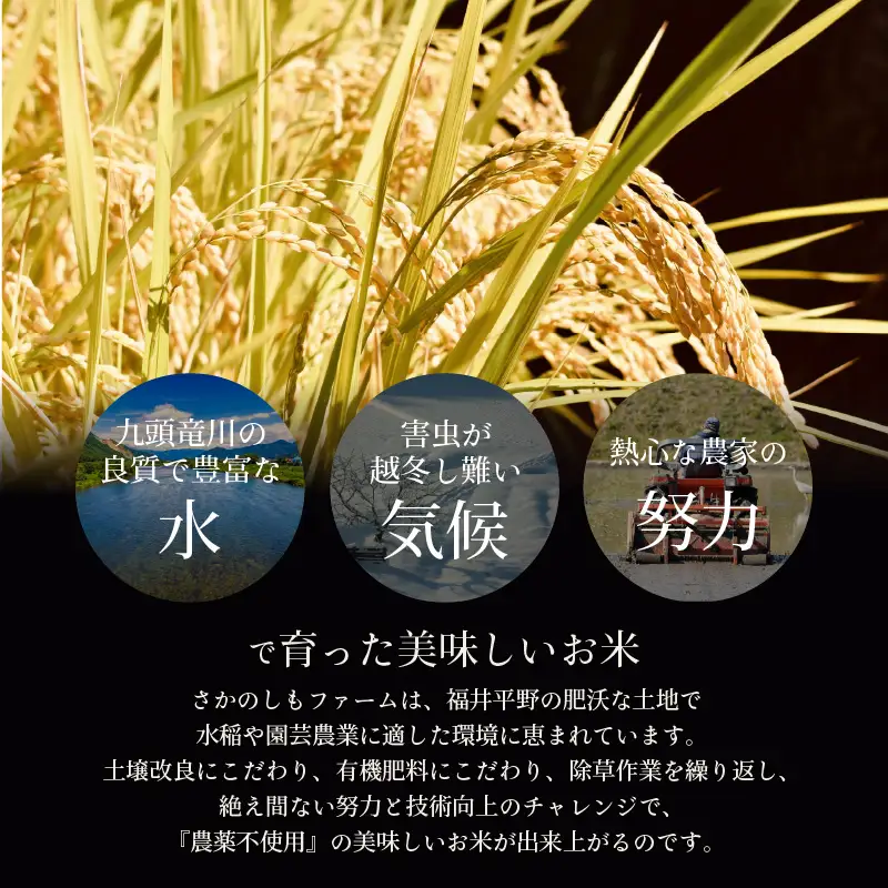 【先行予約】【令和8年産 新米】 ミルキークイーン 玄米 5kg 特別栽培米 農薬不使用 化学肥料不使用 ／ 高品質 鮮度抜群 福井県産 ブランド米 ※2026年10月上旬以降順次発送 [aw063-a007]