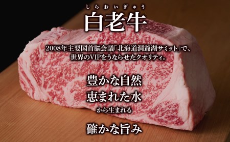 カレー レトルト 白老牛カレー 180ｇ×2箱 QA033