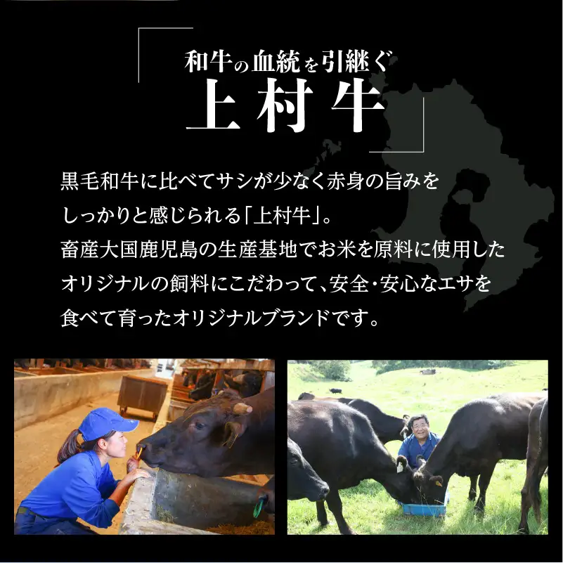上村牛 肩ロース スライス 600g K002-002 肉 牛肉 冷凍